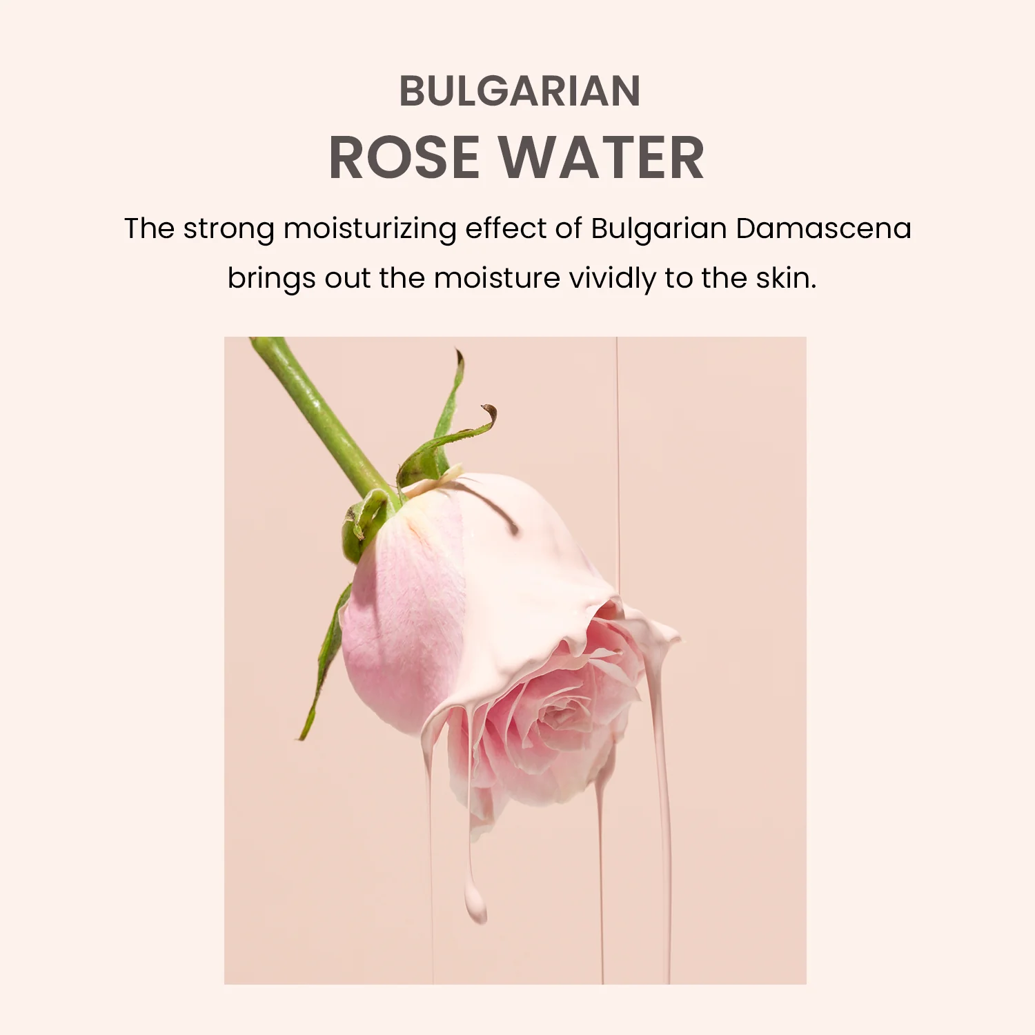 Bulgarian Rose Water Hydrogel Eye Patch 1.4g/0.05oz *60pcs - Image 5