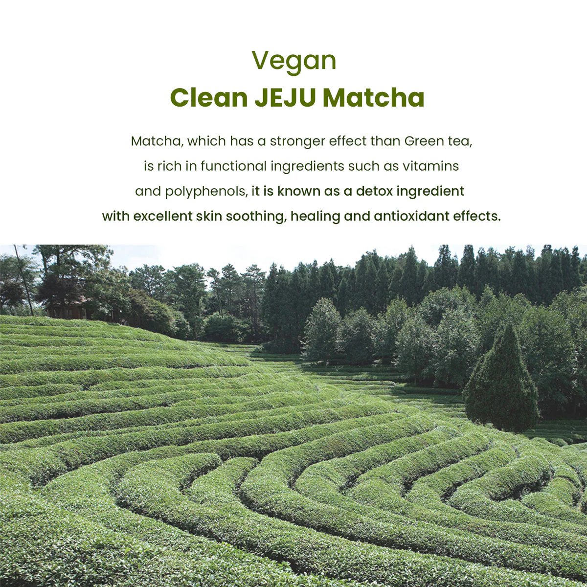 Matcha Biome Hydrogel Eye Patch 1.4g/0.05oz *60pcs - Image 12
